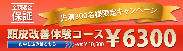 6300円