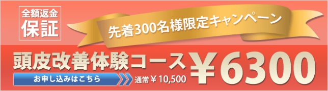 6300円