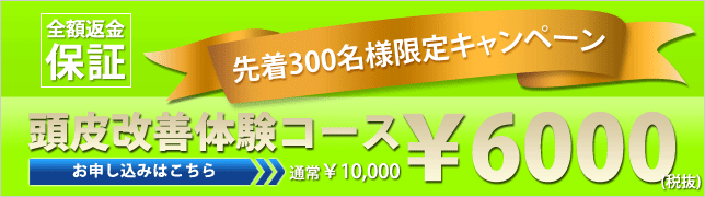 6000yen