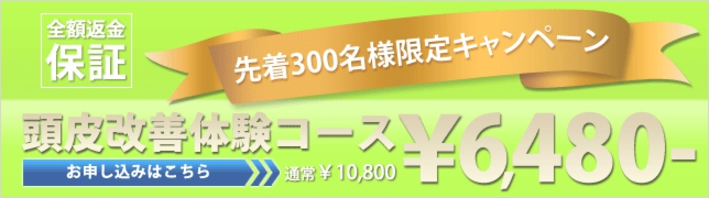 6000yen